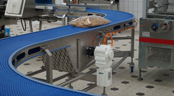 Bauer Washdown Blue Food Conveyor